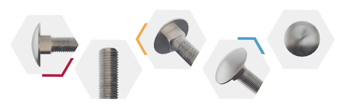 AYA Stainless Steel Coach Bolts AYA Stainless Steel Coach Bolts